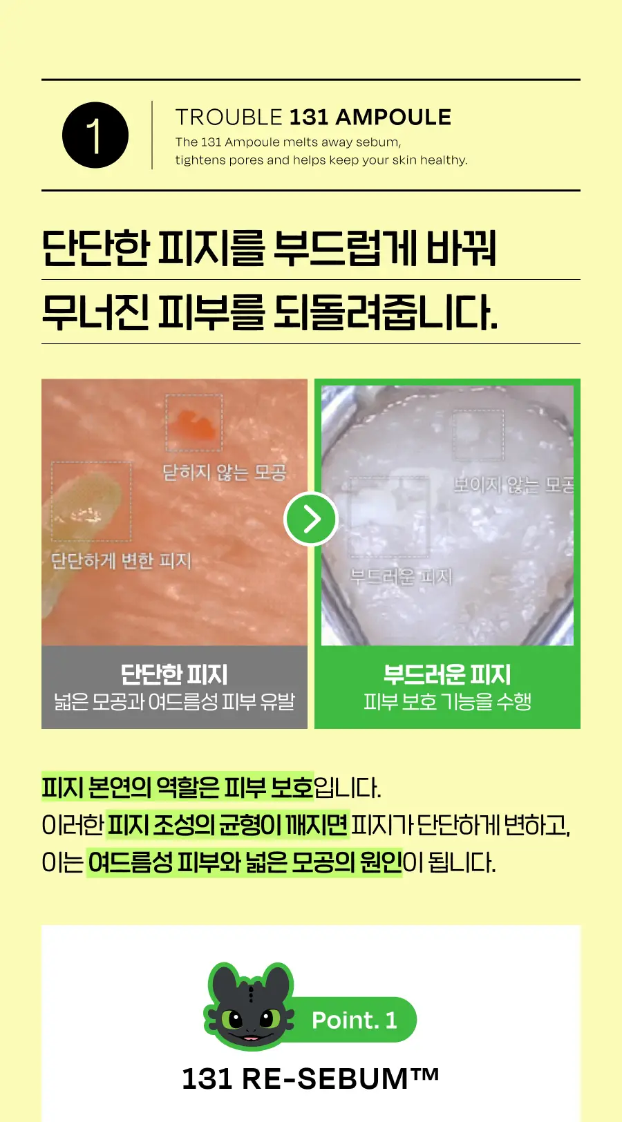 [드래곤길들이기 콜라보] 셀라딕스 세범 리밸런싱 RX 131 앰플 30ml 기획 + 랜덤 키링 1종 증정 상세페이지 18